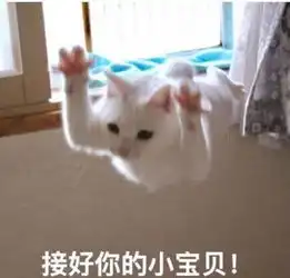  号外校团委助理团招新啦