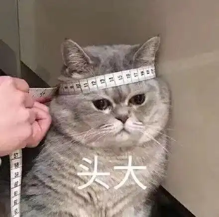  表情包头大系列