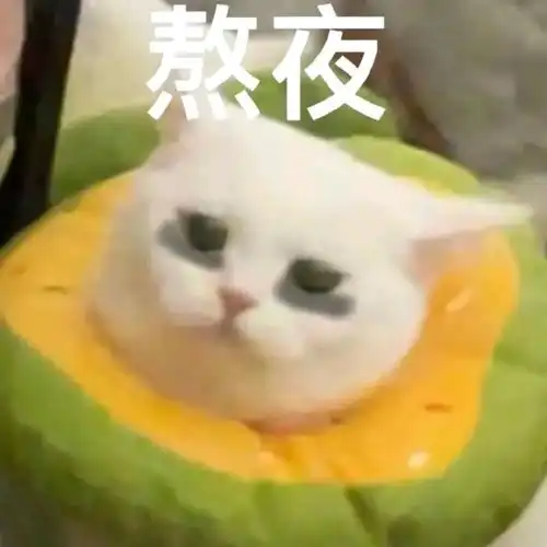  发给你喜欢熬夜的朋友看