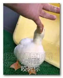  去tm的晚安老子不睡表情图片去tm的晚安老子不睡表情包高清版jz5u绿色下载站