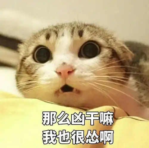  99的主人都不知道的冷知识,猫咪的呼噜声到底是怎么发出来的