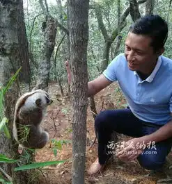  勐海县林业和草原局放生蜂猴