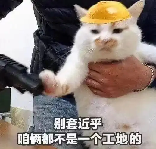 出来聊天吹牛表情包猫的