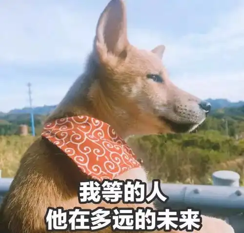  情人节表情包,你肯定用得着