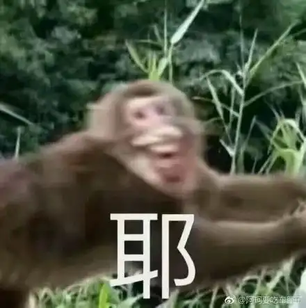  预算100块,能买到多好用的东西