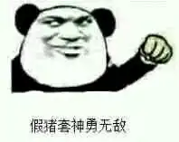  假猪套天下第一表情包