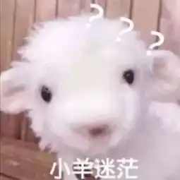  今日表情包你看我干不干你就完事了