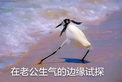  年度表情包大赏小猪佩奇,假笑boy,边缘试探.你最爱