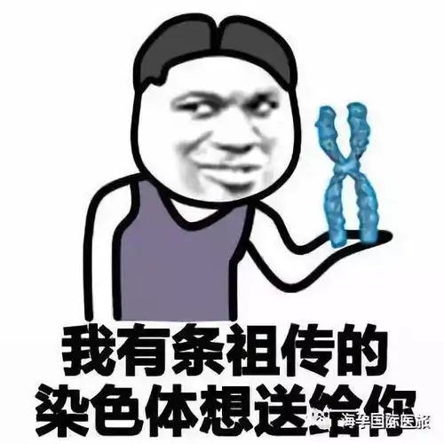 斗图关于胸大的表情包幽