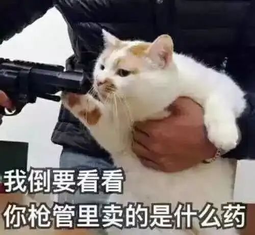 出来聊天吹牛表情包我不