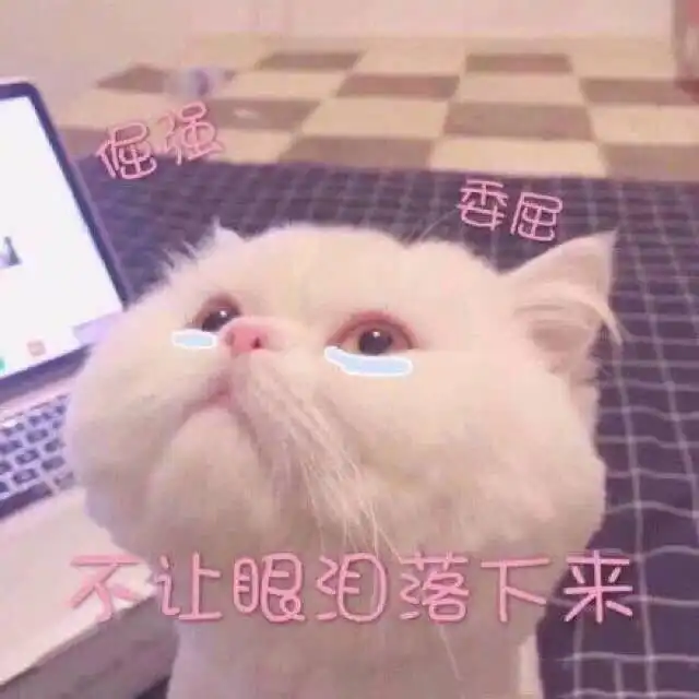  关于委屈的表情包不行,我受不了这委屈
