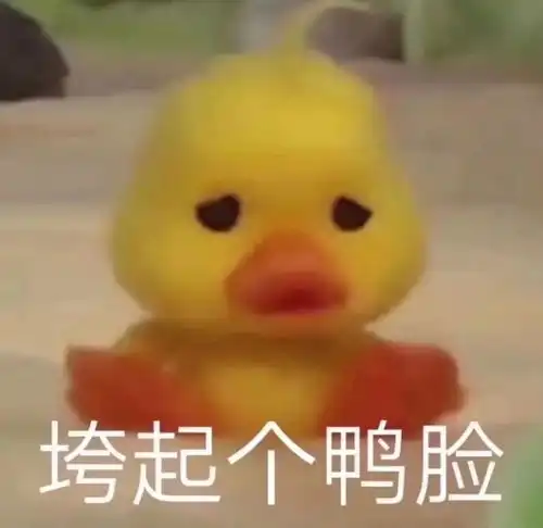 小黄鸭微信表情