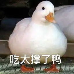 表情包鸭鸭表情包