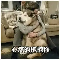 勇敢狗狗不怕困难表情包