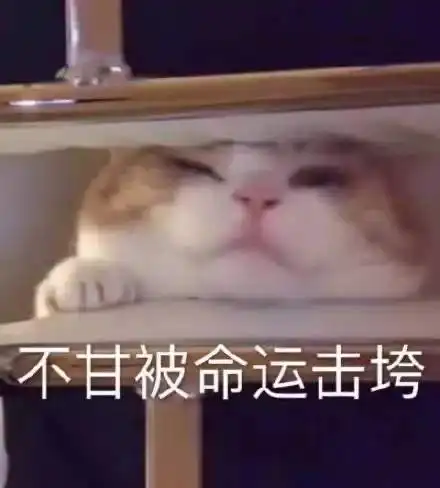  有哪些适合发说说的沙雕句子