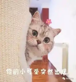  快通车了拱北地下通道升级效果图惊艳亮相