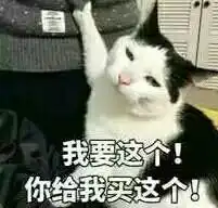  表情包超级萌系表情包,敲阔爱,不容错过啦