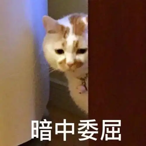  有些人表面是硬汉,背地里却喜欢这些东西