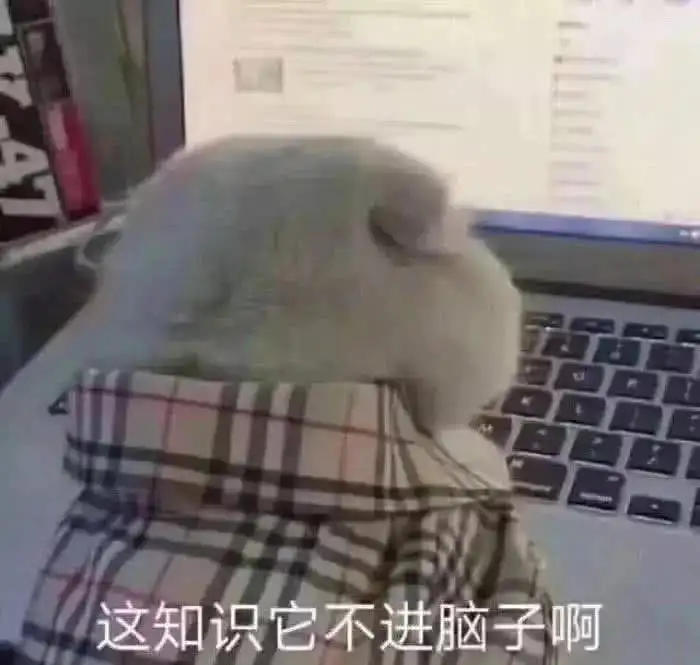  hhh