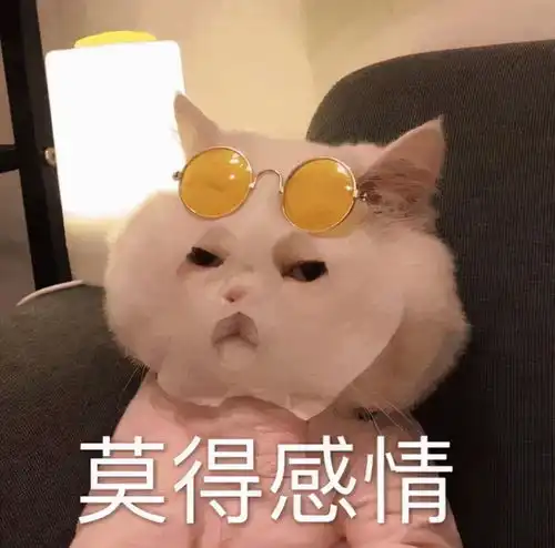  这张千禧辣妹脸到底有多特别可以被众多大佬偏爱到这种程度