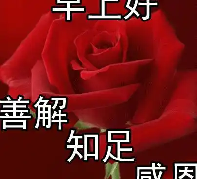 动图彩色文字表情包早安