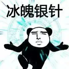 西内表情包熊猫头武功