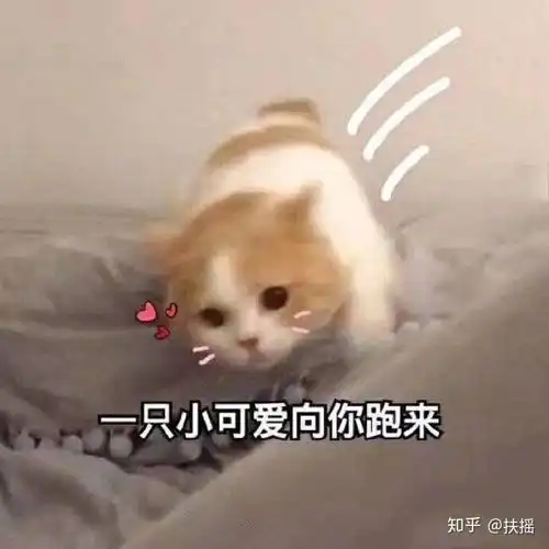  有没有大佬推荐一下,女孩子第一只口红应该选什么