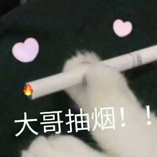  适合混油皮的粉底液