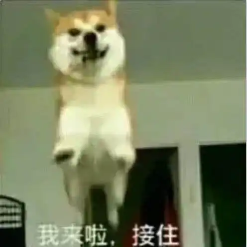 有哪些让你欲罢不能的沙雕头像