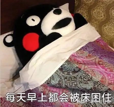  寒假第一次和高中儿子过招,我错了,你看呢