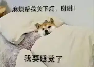  世界睡眠日平均9小时,bisuer拖后腿了吗