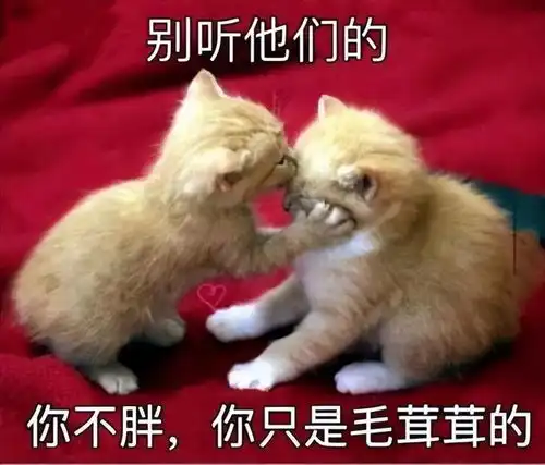  癌症偏爱胖子真的假的快来测一下你的患癌风险
