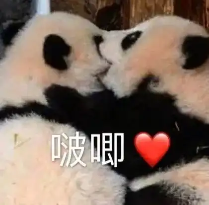  表情包分享第205期啵唧