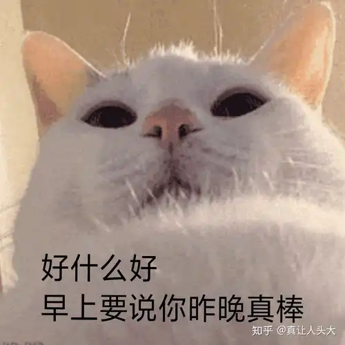  女生早上给你发亲亲的表情怎么回复比较幽默
