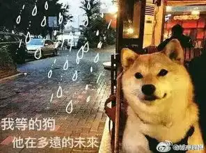  520元的红包算啥现在都改用微信发黄金红包了