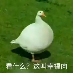  鸭鸭表情包合集
