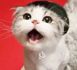 萌萌表情包小可爱猫咪