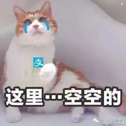  双十一来啦