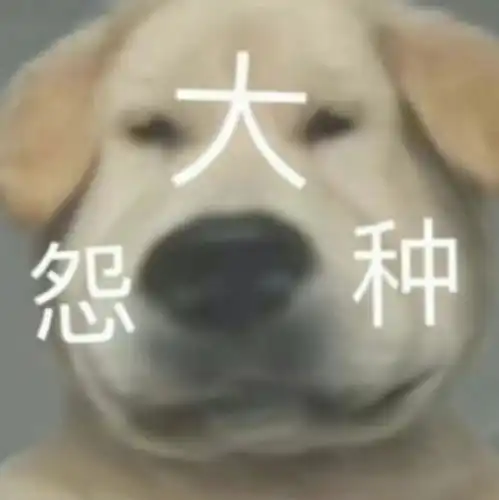  沙雕表情包第三十九期