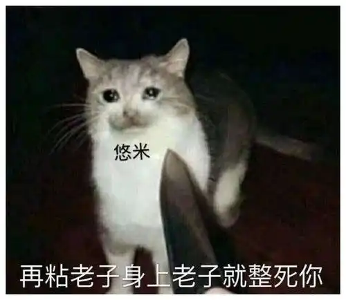  猫咪悠米为何在职业赛场大放异彩这英雄到底是强是弱