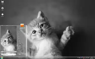 蠢萌小猫咪win7主题