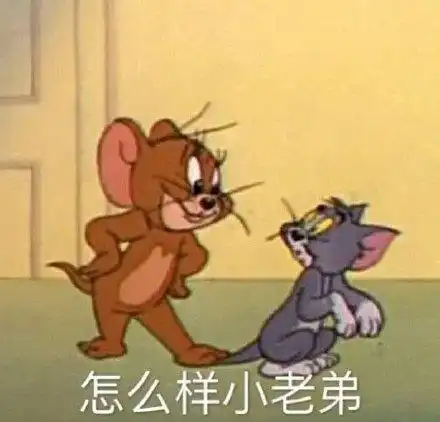  猫和老鼠表情包合集不服你顺着网线来打我啊