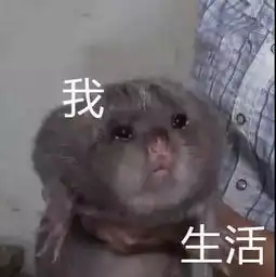  为什么手指甲长得比脚趾甲快