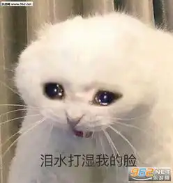  菜就是菜表情包这双狗眼看透太多了表情包图片下载乐游网游戏下载