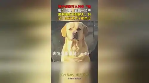  狗子成功打入村中情报组织,表情一脸严肃的偷听大妈聊天