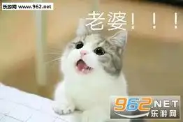  老婆你别生气了搞笑图片可爱喵星人老婆系列表情包下载乐游网游戏下载