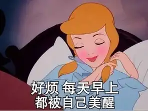  不撕猫狗鸡鸭正品低价只来网易考拉