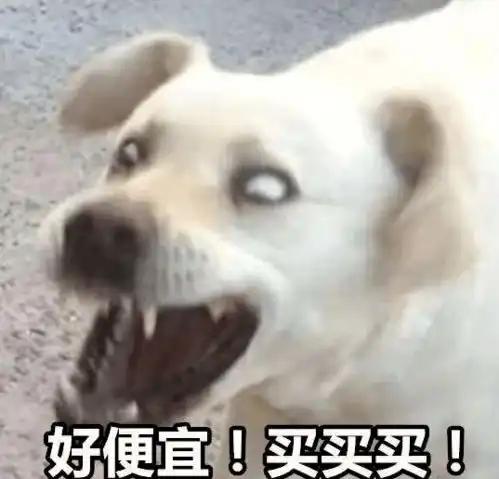  30分钟突破3723亿来看看河南的剁手力