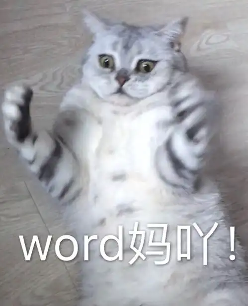  智障我见过表情最多的小猫咪了7.10