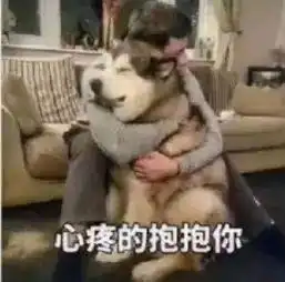 勇敢狗狗不怕困难表情包